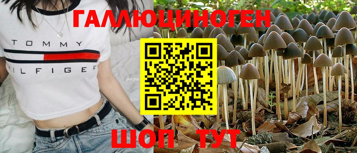 Галлюциногенные грибы мицелий Ачинск